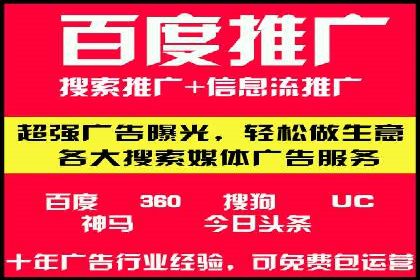 网络推广秘籍：竞价排名成功案例集锦